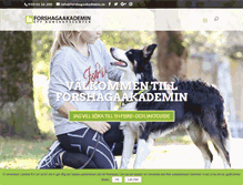 Tablet Screenshot of forshagaakademin.se